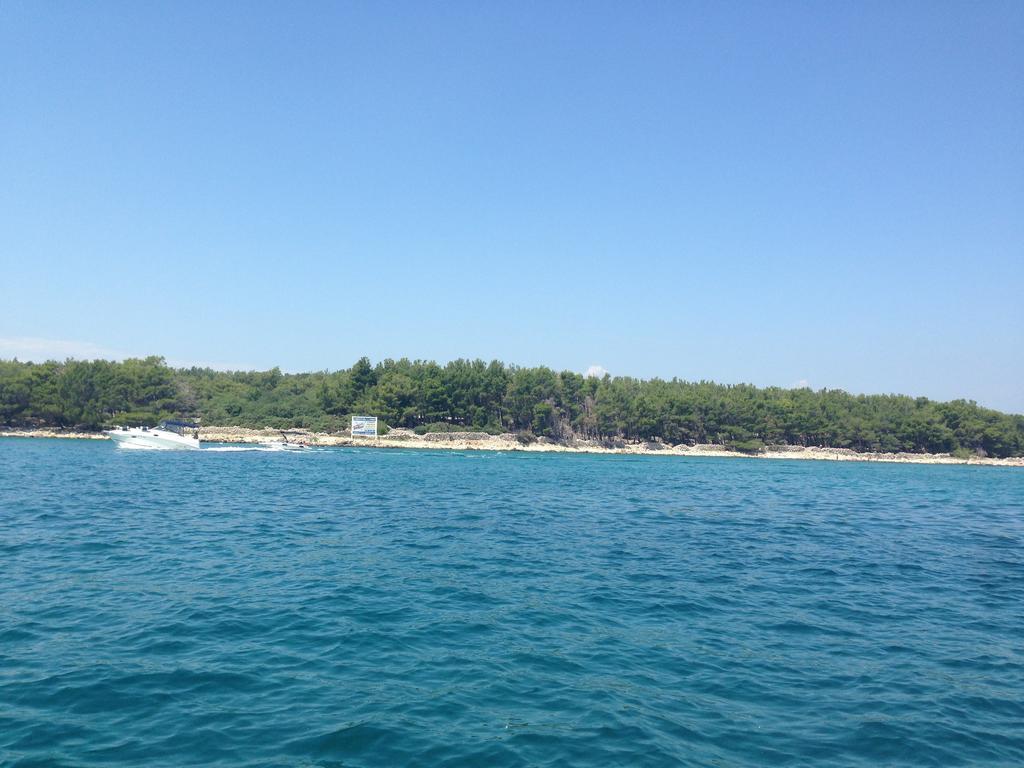 Ten-punat * Punat